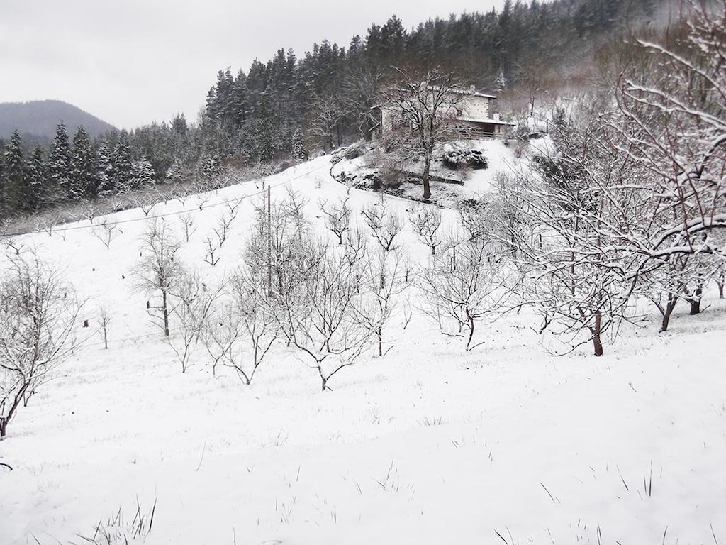 Casa Rural Madariaga Hotell Artea Eksteriør bilde